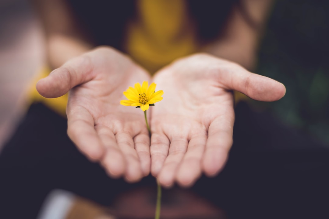 Brindar siempre lo mejor de ti. by Best Kids Tablets selective focus photography of woman holding yellow petaled flowers