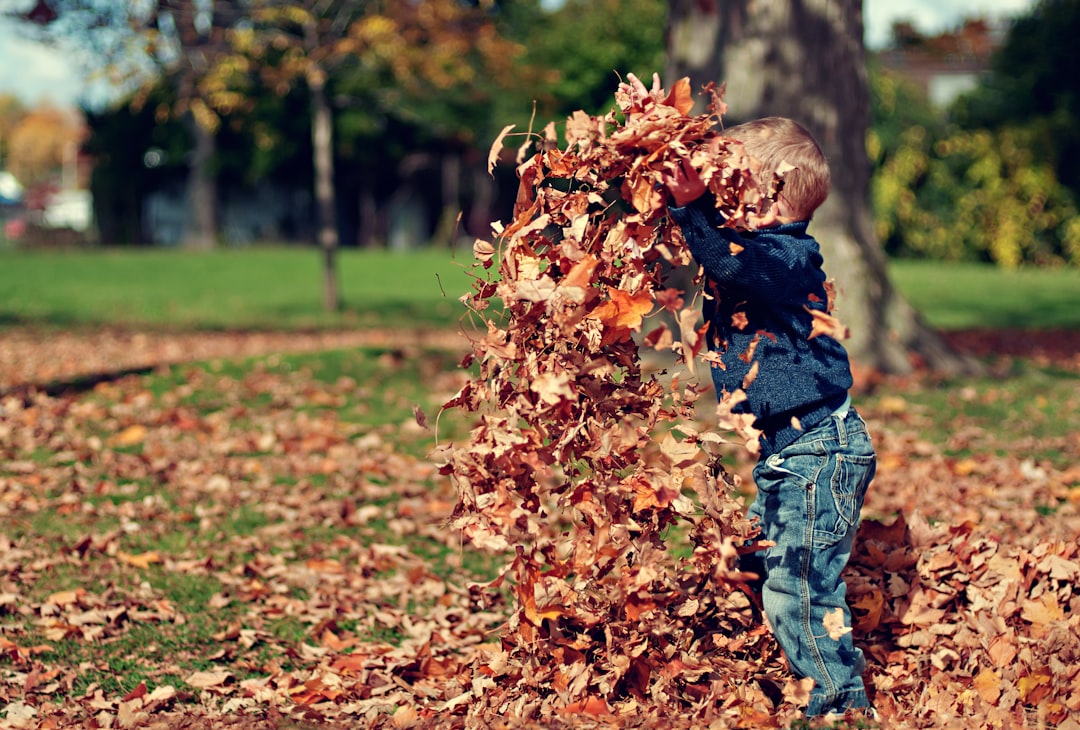 Leaves in the air by Best Kids Tablets child playing with dried leaves